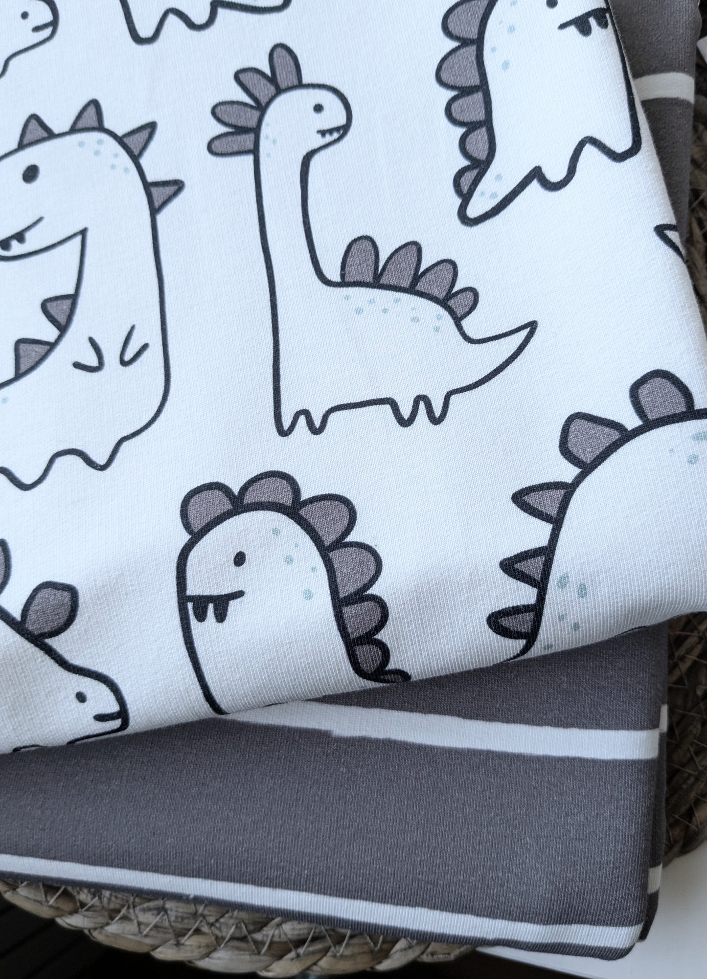 Bio French Terry Dinos Vorbestellung