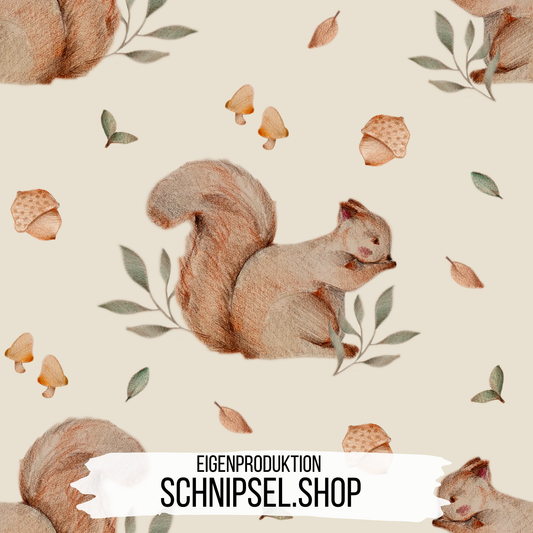 Eichhörnchen Vorbestellung
