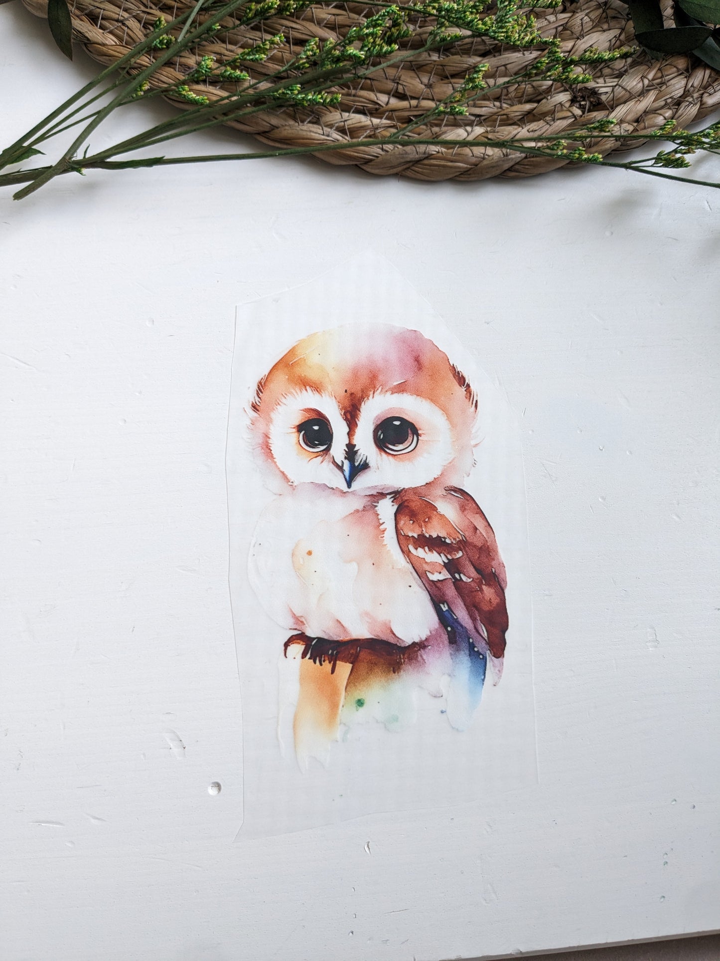 Watercolor Tiere